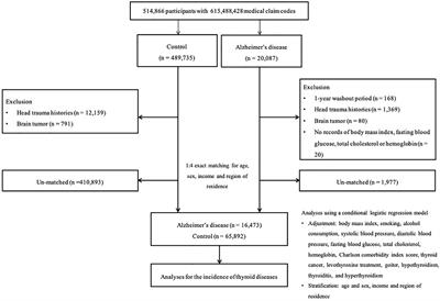 The Association Between Thyroid Diseases and Alzheimer’s Disease in a National Health Screening Cohort in Korea